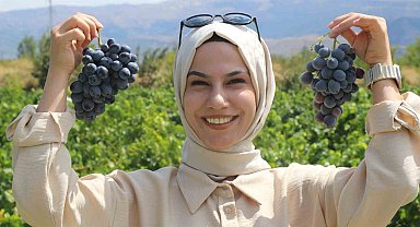 Erzincan'ın tescilli Cimin üzümü, dünyaca meşhur İtalya'nın üzümüne rakip oldu