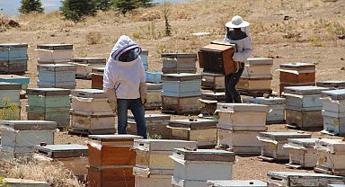 Erzincanlı arıcıların "tatlı" hasat telaşı başladı
