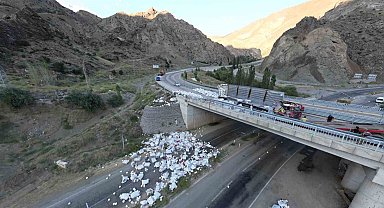 Freni boşalan tır devrildi: 1 ölü