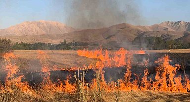 Gevaş'ta ot yangını