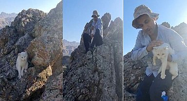Hakkari'de 2 gündür kayalıklarda mahsur kalan kedi kurtarıldı