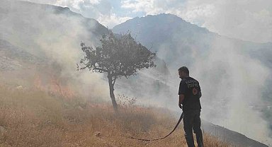 Hakkari'de anız yangını