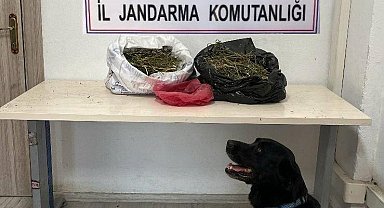 Iğdır'da 22,5 kilogram kubar esrar ele geçirildi
