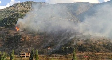 İspir'de orman yangını