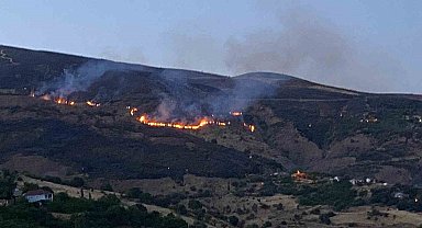 İtfaiye erleri yangından kurtardığı kaplumbağaya su verdi