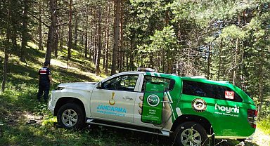 Jandarma ormanları koruyor