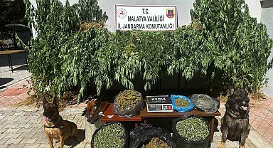 Malatya'da 11,5 kilogram kubar esrar ele geçirildi: 2 gözaltı