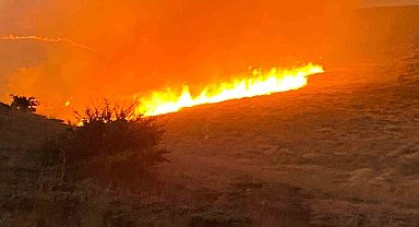 Malatya'da yüzlerce dönüm alanda anız yangını