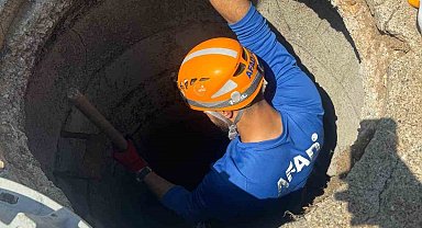 Muş'ta kanalizasyon çukuruna düşen yavru köpek kurtarıldı