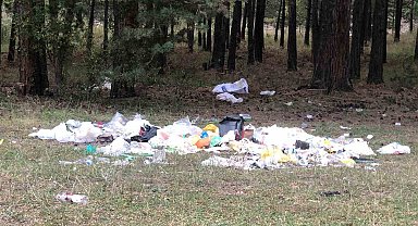 Piknikçiler Sarıkamış ormanını çöplüğe çevirdi