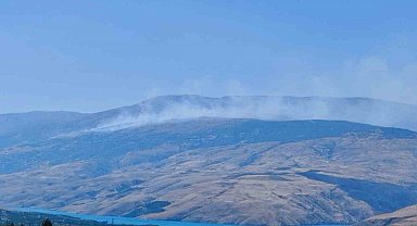 Pütürge'de arazi yangını ormanlık alana sıçradı