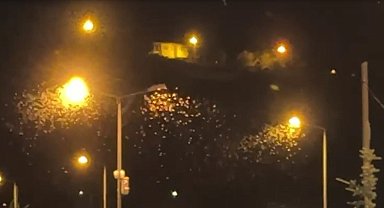 "Bir günlükler"in ölüm uçuşu başladı: Mayıs sineklerinin kanat çırpması kamerada