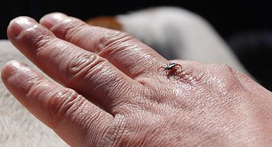 "Keneden korunun, çıplak elle dokunmayın"