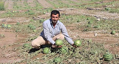 Sel Erzurum'da karpuz tarlasını vurdu