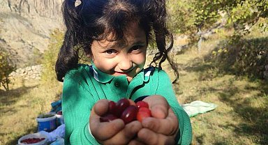 Şerbeti, çayı, meyvesi oluyor! Kalbi koruyor, enfeksiyonu düşürüyor