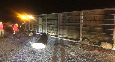 Tatvan'da tır devrildi: 63 koyun telef oldu