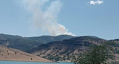 Tunceli'de orman yangını