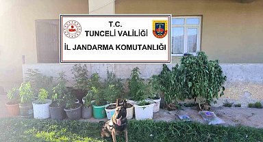 Tunceli'de uyuşturucu operasyonu: 2 tutuklama