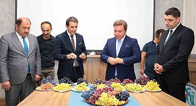 Üzümüyle meşhur Erzincan'da yeni üzüm çeşitleri yetiştirilecek