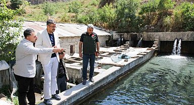 Vali Çelik, alabalık tesislerinde incelemelerde bulundu