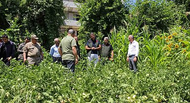 Vali Çelik: "Hakkari'nin verimli toprakları değerlendirilecek"