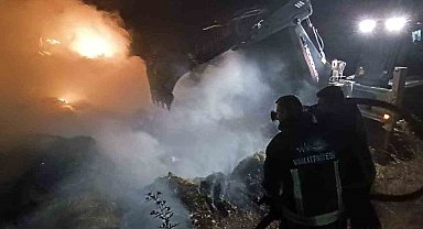 Van'da 2 bin 500 bağ ot yandı