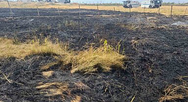 Van'da anız yangını