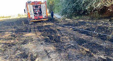 Van'da anız yangını