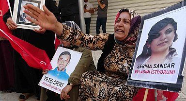 Van'da evlat nöbeti tutan aileler: "Evlatlarımıza kavuşmaya devam ediyoruz"