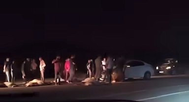 Van'da otomobil sürüye çarptı: 21 koyun telef oldu