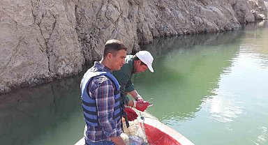 Van'da sazangiller av yasağı sona erdi