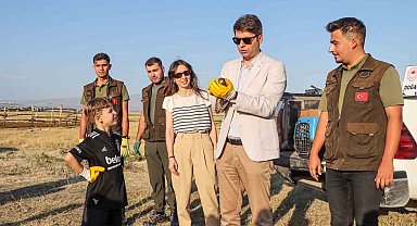 Van'da tedavi edilen kuşlar Erciş'teki doğal yaşam alanlarına bırakıldı