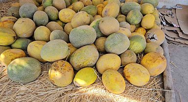 Yetiştirdiği ürünleri satarak aile bütçesine katkıda bulunuyor