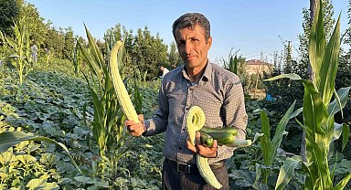 Yüksekova'da örnek çiftçi: A'dan Z'ye tüm ürünlere hayat verdi