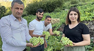 Yüksekova'nın yerli üzümünün bereketi yüz güldürüyor