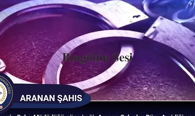 Bingöl'de Firari Suçlu Kıskıvrak Yakalandı