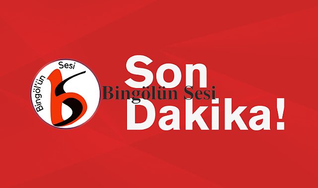 Bingöl'de Muhtar Silahla Vurulmuş Halde Bulundu